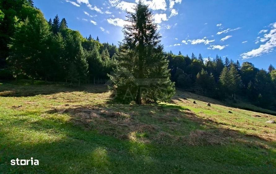 Teren de 6200 mp, în Lunca