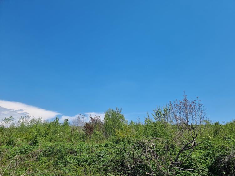 Teren Construcții intravilan de 1809 mp, în Moțăieni