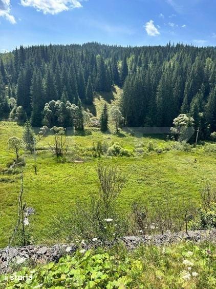 Teren de 6941 mp, în Iacobeni