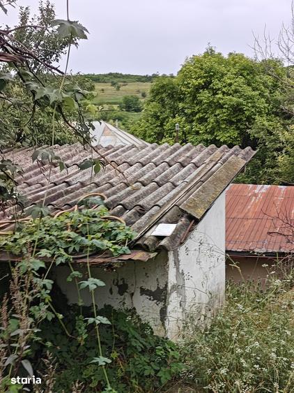 Teren intravilan Balciu Miroslava - 1
