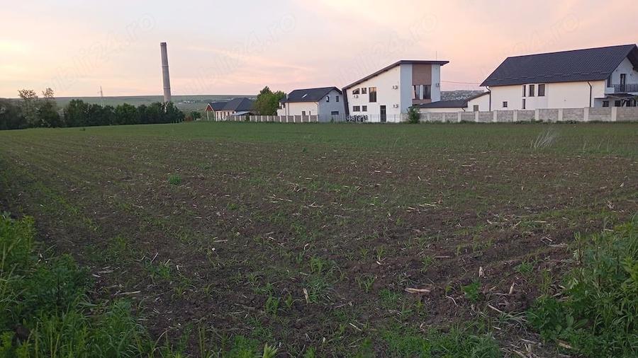 Teren de 500 mp, în Lisaura