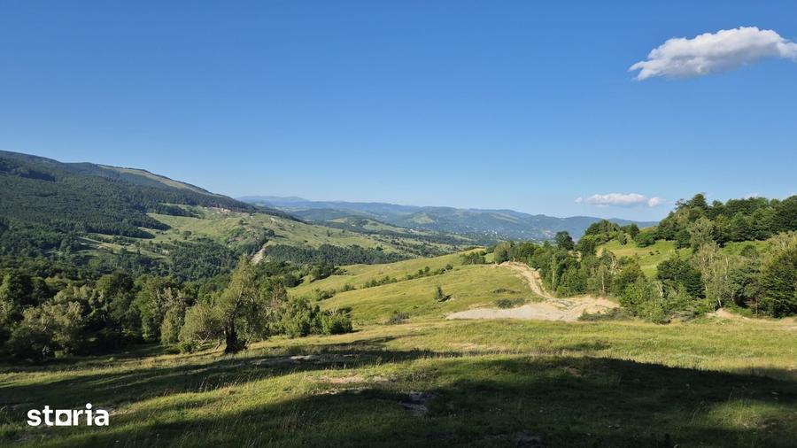 Teren de 13000 mp, în Talea