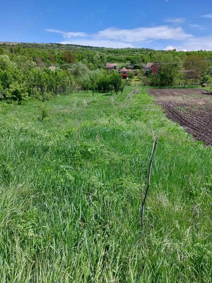 Teren de 2170 mp, în Morău