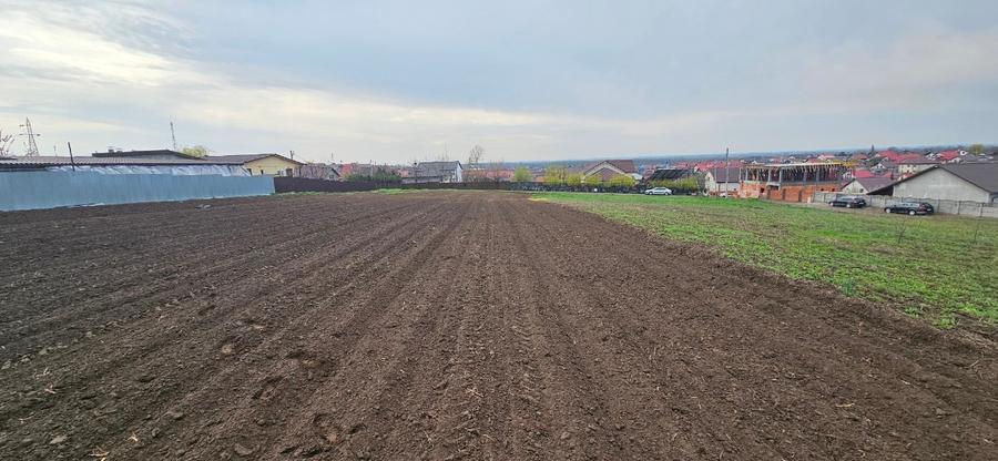Teren Construcții extravilan de 6000 mp, în Șendreni