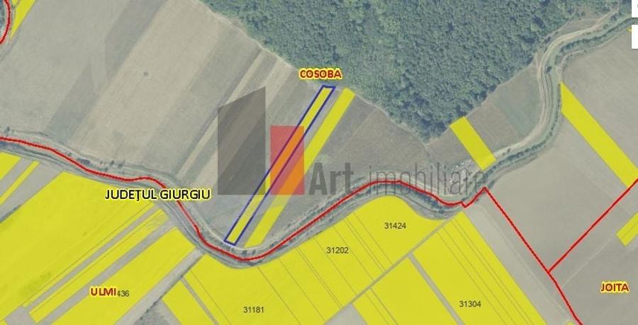 Teren Construcții intravilan de 6100 mp, în Cosoba