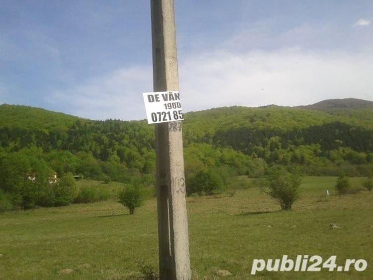 Teren de 1900 mp, în Sud