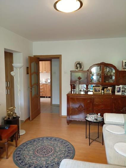 Apartament cu 2 camere semidecomandat în Ferdinand
