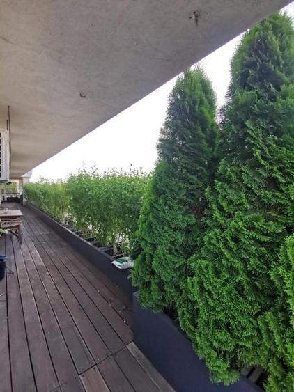 Apartament cu 3 camere, mobilat în 1 Mai