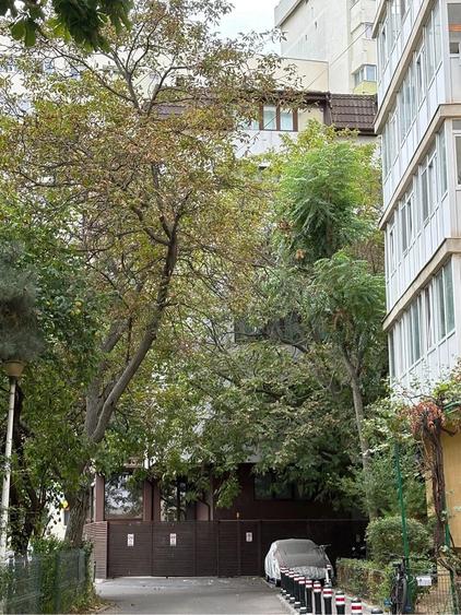 iancului studio bloc nou - 6