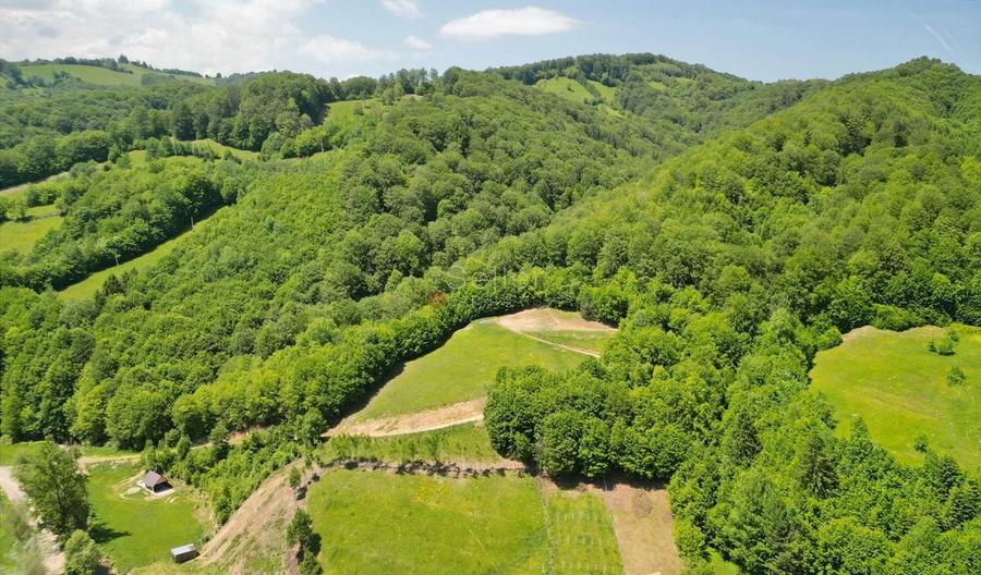 Teren Construcții extravilan de 16000 mp, în Poiana Mărului