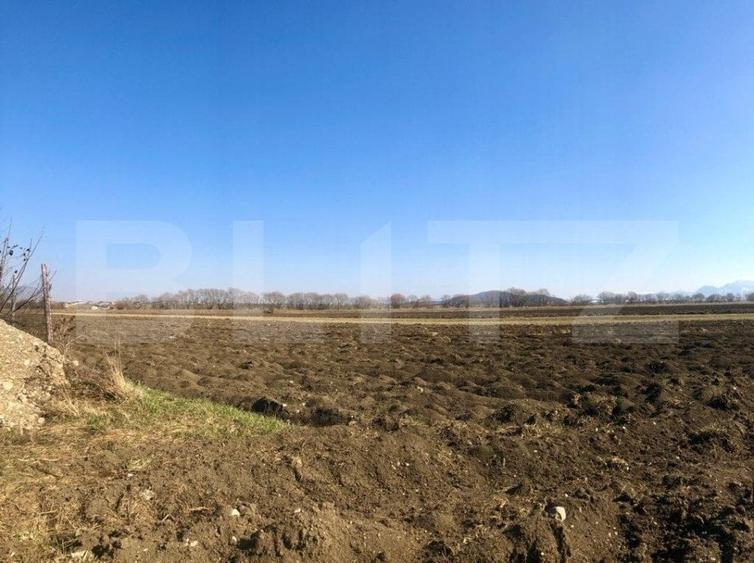 Teren Construcții intravilan de 10000 mp, în Exterior Nord