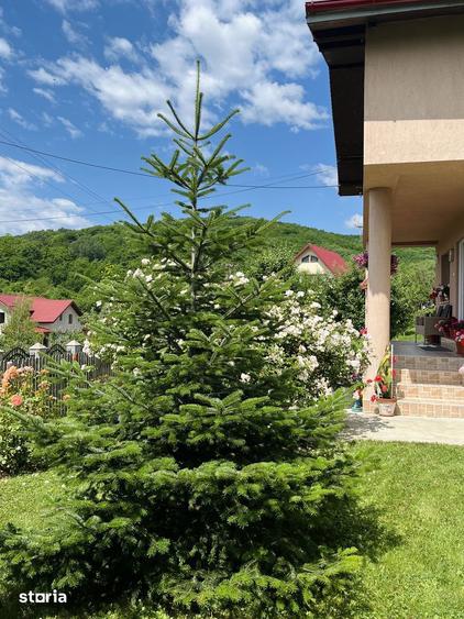 Casă cu 4 camere cu Teren 1670 Mp în Central