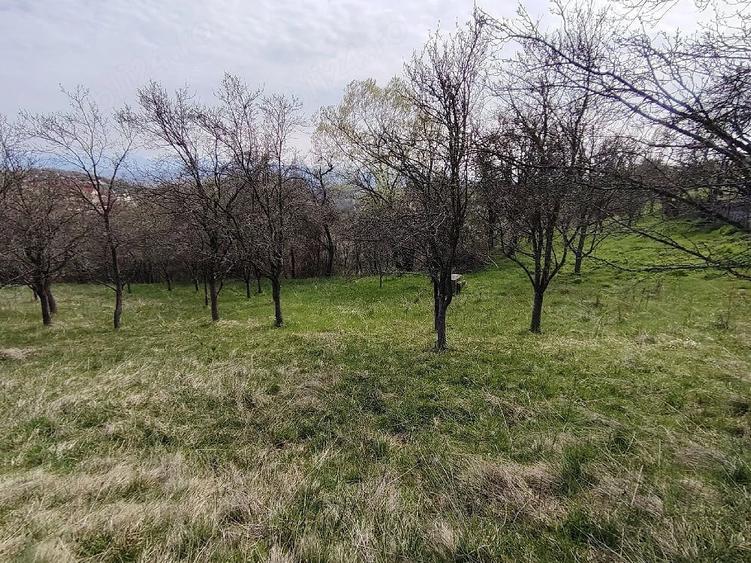 Teren de 2700 mp, în Ghelari