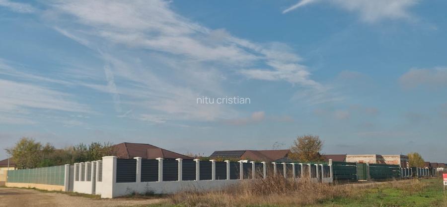 Vanzare teren Balotesti-Lahovari,strada Cameliei,intre case, 31000 euro