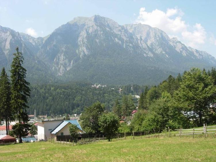 Teren intravilan de 3872 mp, în Zamora