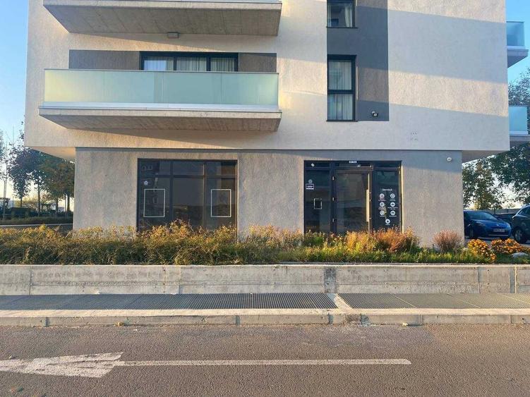 Spațiu comercial, de 230 mp, în Nufărul