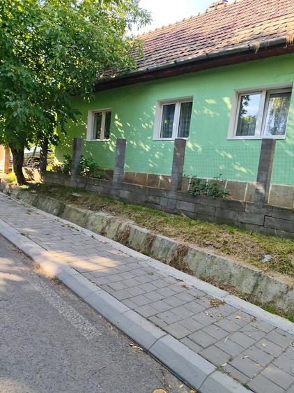 Casă cu Teren 10000 Mp în Vălureni