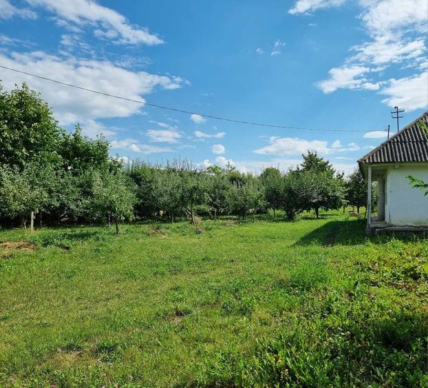Casă cu 2 camere în Miron Costin