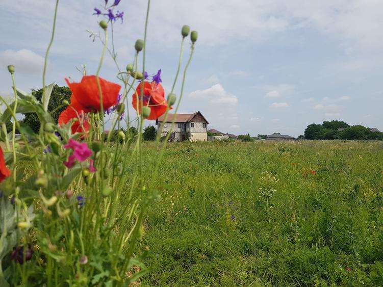 Teren Construcții intravilan de 648 mp, în Săbăreni