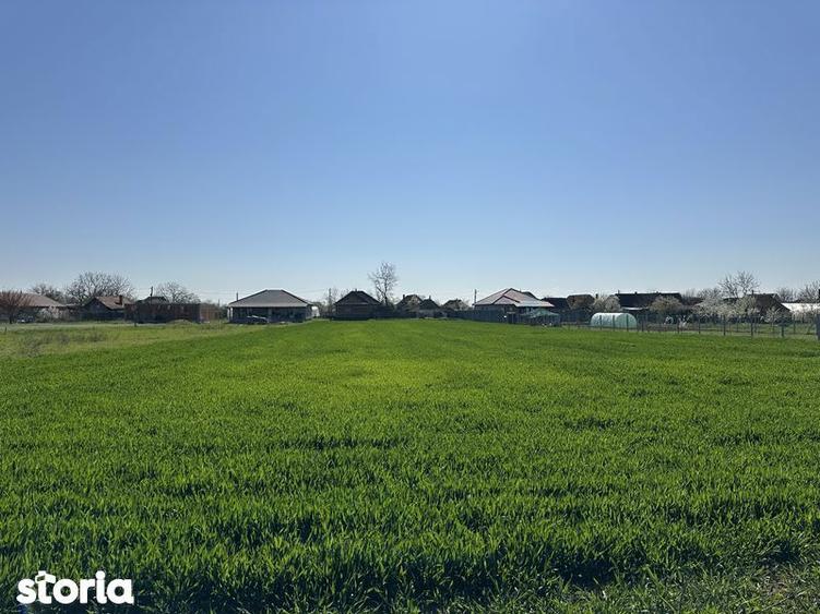 Teren de 3900 mp, în Gepiu