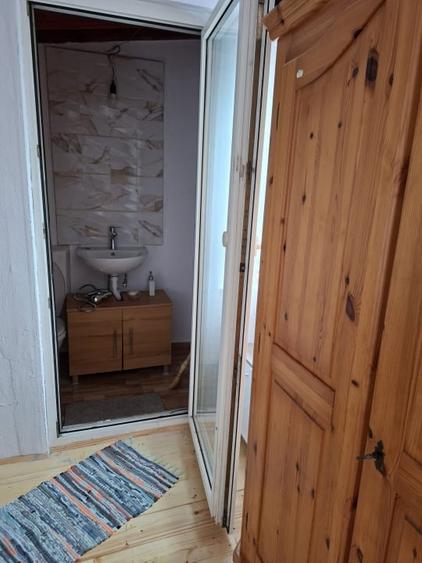 Casă individuală cu 3 camere cu Teren 10000 Mp în Dumitra