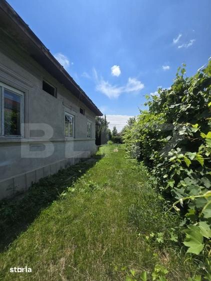 Casă cu 3 camere cu Teren 1500 Mp în Central