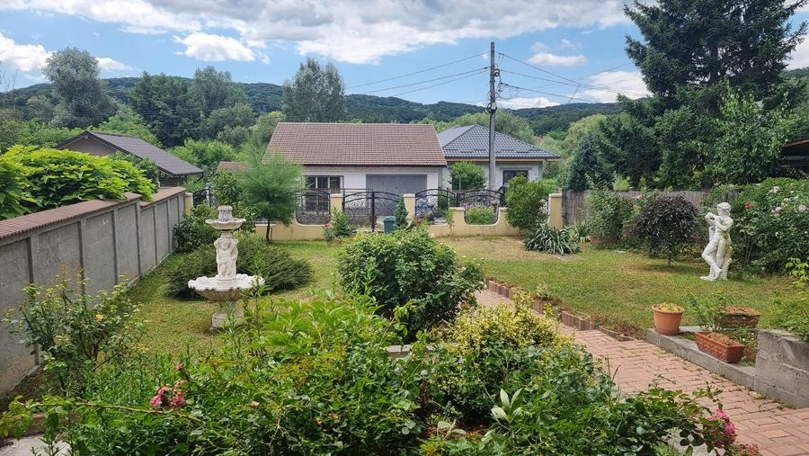 Casă individuală cu 7 camere cu Canalizare în Parc Zăvoi