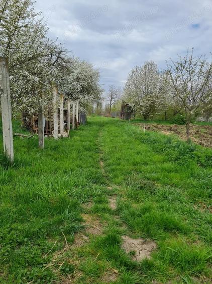 Teren de 1000 mp, în Cipău
