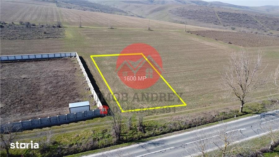 Teren intravilan 1600 mp Mineri, deschidere E87, ideal investitie - 1