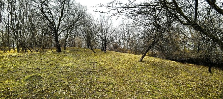 Teren agricol intravilan de 2623 mp, în Est
