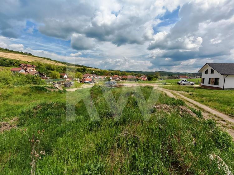 Teren Construcții intravilan de 5484 mp, în Șura Mare