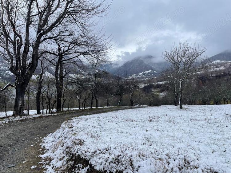 Teren de 5100 mp, în Rusca