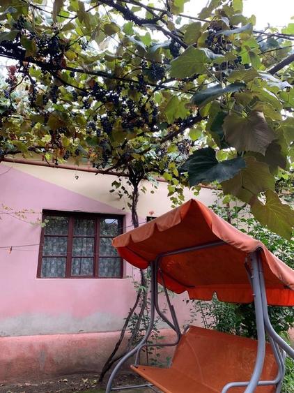Casă cu 4 camere în Câmp