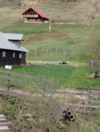 Teren Construcții intravilan de 500 mp, în Cârlibaba