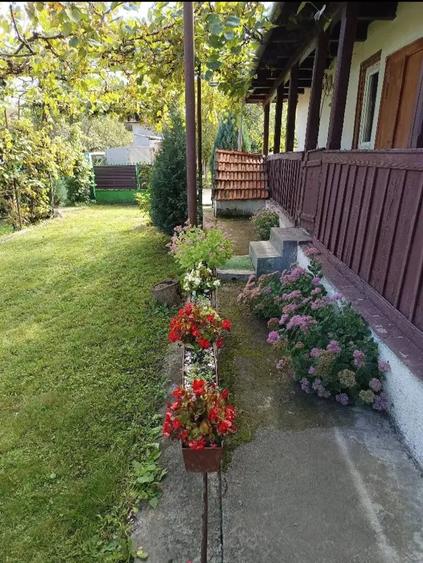 Casă cu 2 camere cu Teren 2000 Mp în Dumbrava (Unirea)
