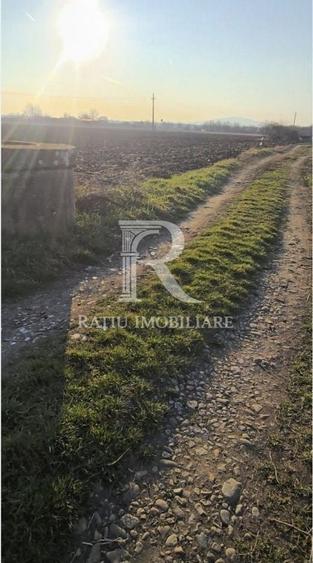 Teren Construcții intravilan de 1780 mp, în Sânmartin