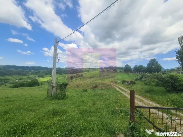 Teren de 9037 mp, în Plaiul Tălii