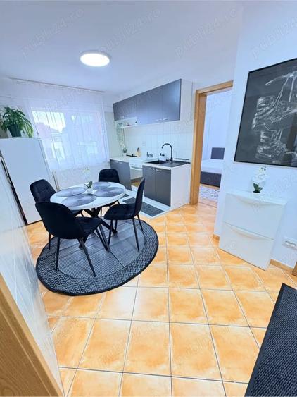 Apartament cu 2 camere decomandat în Turnișor
