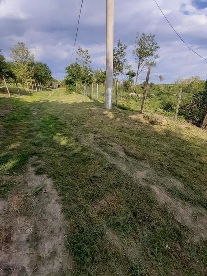 Teren de 1843 mp, în Podari