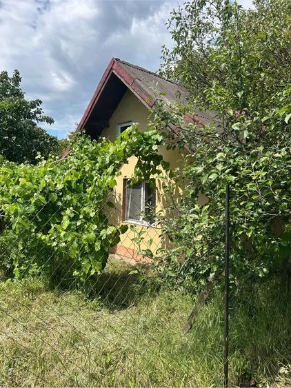Casă cu Teren 500 Mp în Frumușani