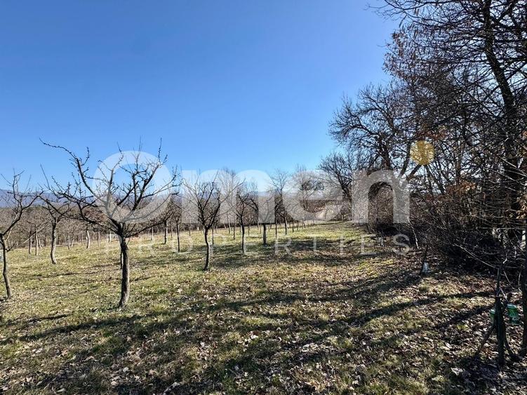 Teren agricol intravilan de 5800 mp, în Berința