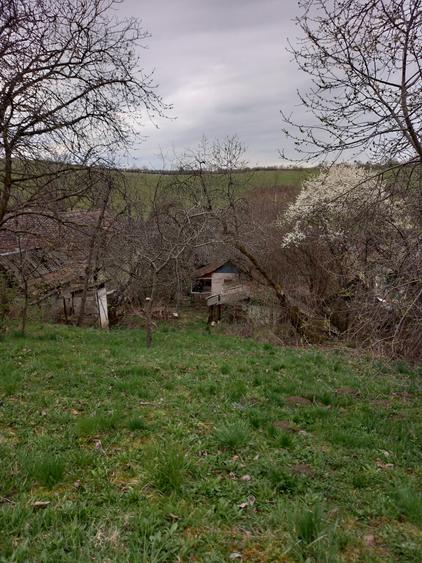 Teren Construcții intravilan de 2500 mp, în Dâmbu Pietros