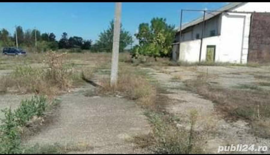 Spațiu comercial, de 8,438 mp, în Cobadin