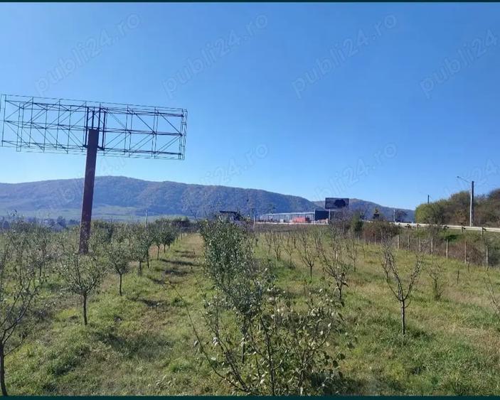 Teren de 12300 mp, în Crainimăt