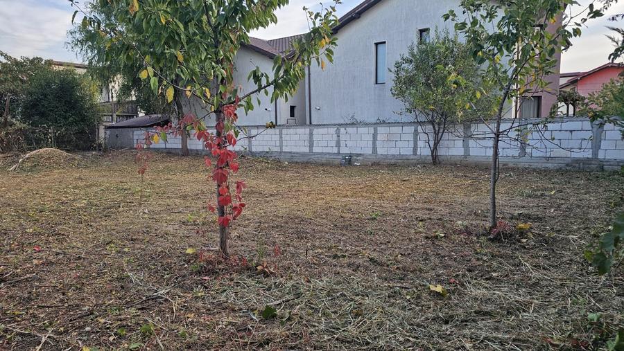 Teren Construcții intravilan de 594 mp, în Chiajna