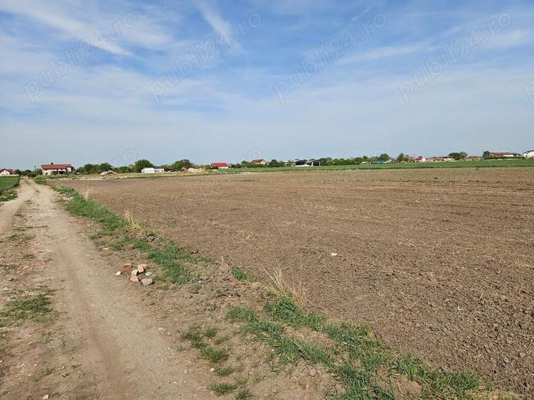 Teren de 994 mp, în Covaci