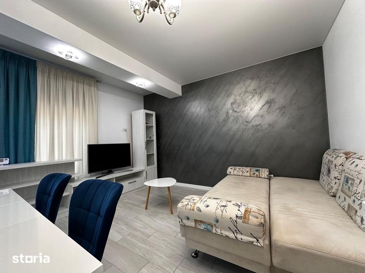 Apartament 2 camere de inchiriat Central Park - 6