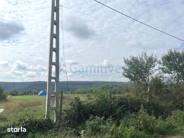 Teren de 3250 mp, în Betfia