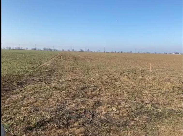 Vand 7 H in Cornesti Ortisoara - 1