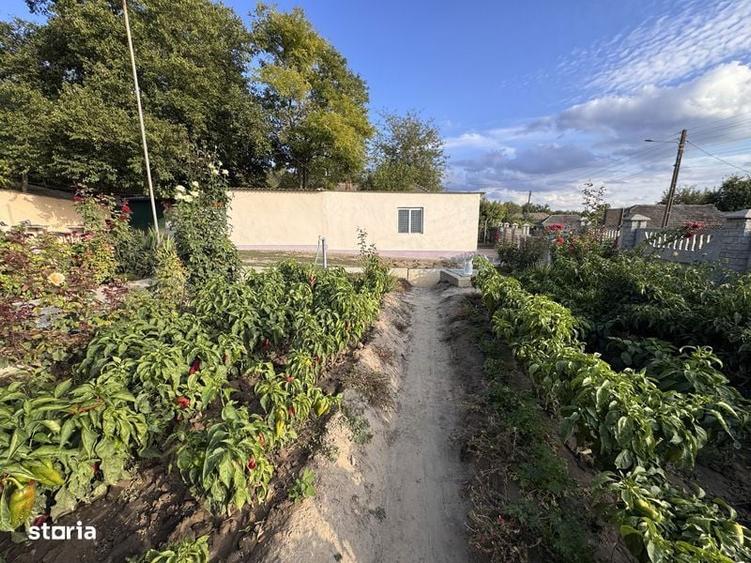 Casa de vanzare plina de viata! Nu ratati aceasta ocazie! - 7